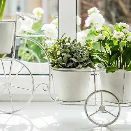 公寓 工厂公寓 索波特