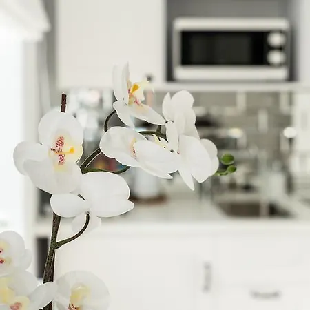 公寓 工厂公寓 索波特